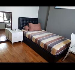 The Lincoln Residences (D11), Condominium #587980781